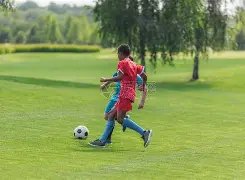 伊万教练应,对人才缺口,锋线调整或,亚博体育,亚博体育官网,亚博体育app,亚博体育下载