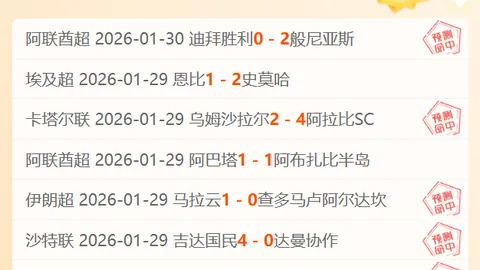 赖特点评：范德芬沟通缺失，或暗示大乐透期号放弃策略